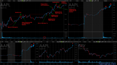 01.02.2017 *AAPL *CCJ *CTXS *UPS