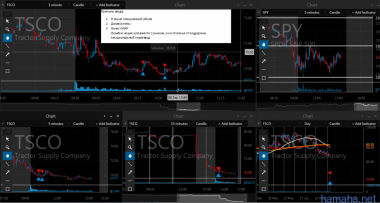 08.09.2016 TSCO WNRL