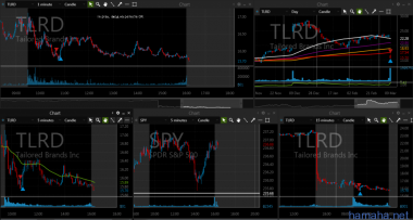 09.03.2017 STX TLRD SLCA TRGP PLCE SSYS