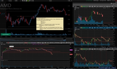 13.02.19 TEVA, AMD, SPY long