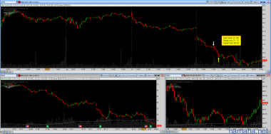 13.03.2015 ESV SHORT.
