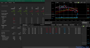 13.03.2017 DKS NVDA YY HLF NCR