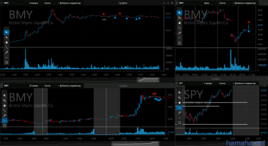 14.02 SCG BMY