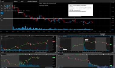 15.09.16 *VFC, *AAPL, *SRPT.