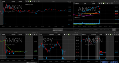 17.03.2017 AMGN CAL NFLX