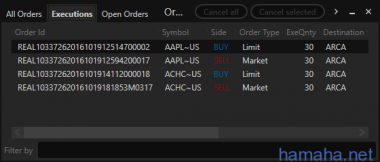 19.10.2016 *AAPL *ACHC