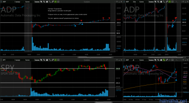 2.06 RH GOOS FL ADP