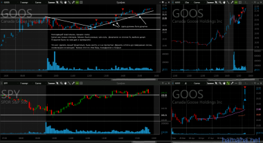 2.06 RH GOOS FL ADP