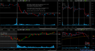 2.06 RH GOOS FL ADP