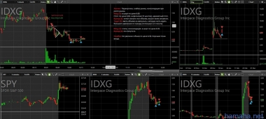 20.01.2017г. TGT и IDXG.