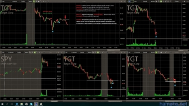 20.01.2017г. TGT и IDXG.