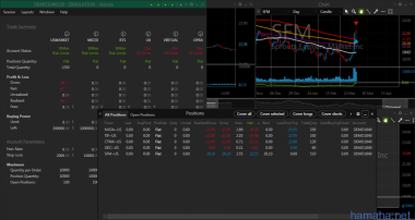 20.03.2017 SFM DDC NVDA TIF CTMX