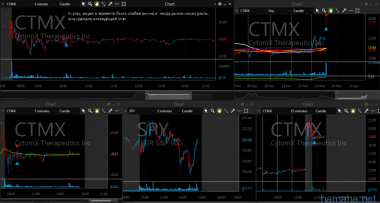 20.03.2017 SFM DDC NVDA TIF CTMX