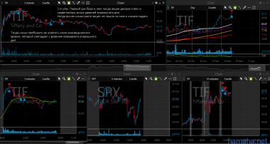 20.03.2017 SFM DDC NVDA TIF CTMX