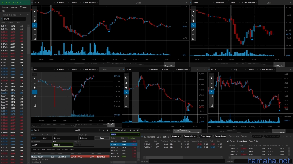 20.07.2016 NEM, CALM