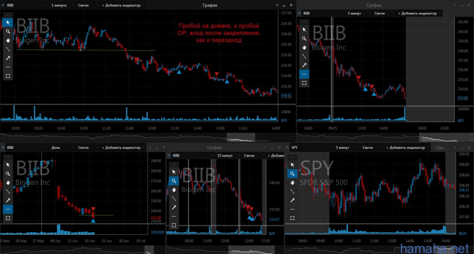 21.06 NFLX, LEN, BIIB