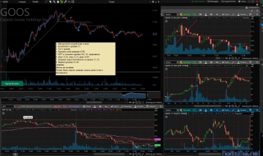 22.01.19 GOOS Short