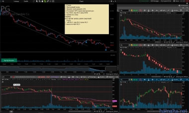 22.01.19 PG Short