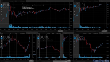 22.11.2016 *BURL *SIG