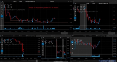 23.06 TSLA, NVDA