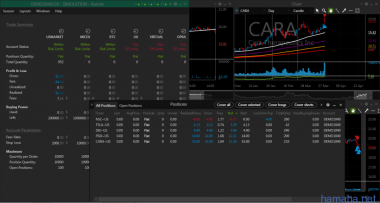 28.03.2017 NSC TSLA SEE PSIX CARA