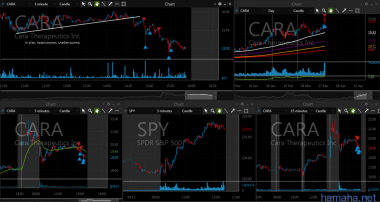 28.03.2017 NSC TSLA SEE PSIX CARA