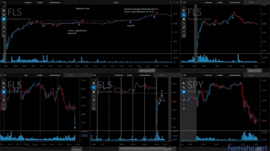 28.10.2016 *ABBV *ESRX *FFIV *FLS *TRN
