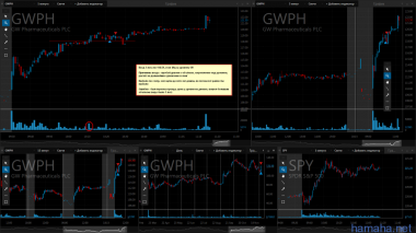 5.12.2016 *EDU *GWPH