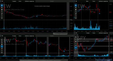 6.03 TSN EW AMD