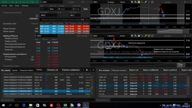 6 января GDXJ