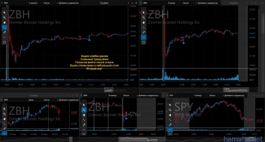 7.06.16 TSLA, BIIB, RL