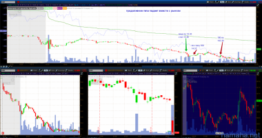 ASML  GNW  ZLTQ  TRN  30.07.2014 Демо