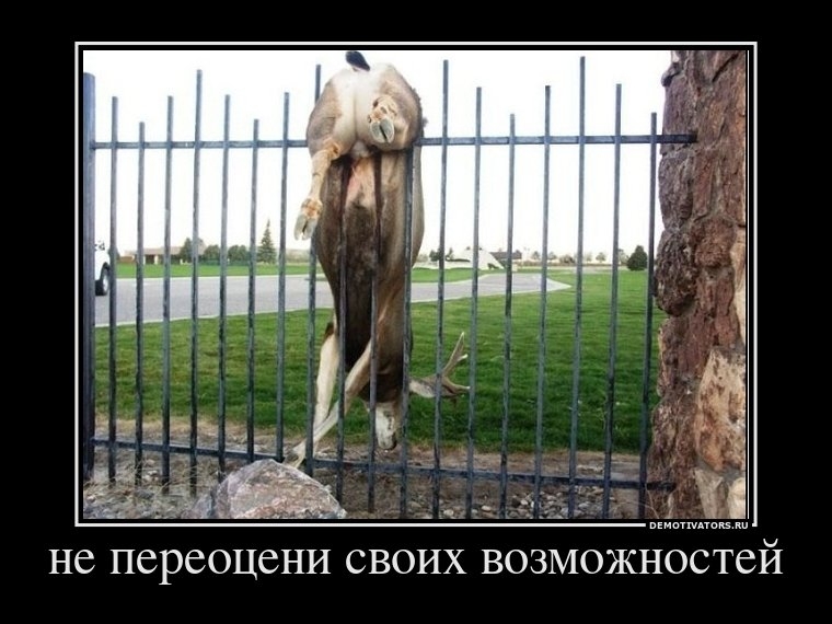 Берлускони подал в