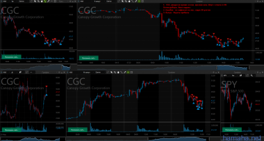 *CGC short