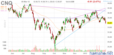 *CNQ закрылась ниже уровня 36