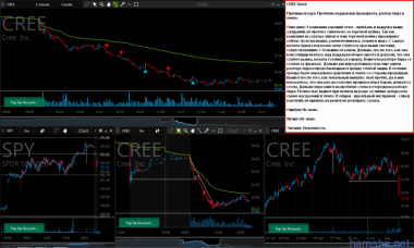 *CREE 2 days in-play
