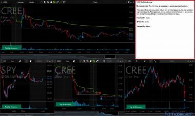 *CREE 2 days in-play