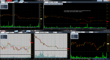 DAY LOSS