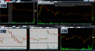 DAY LOSS