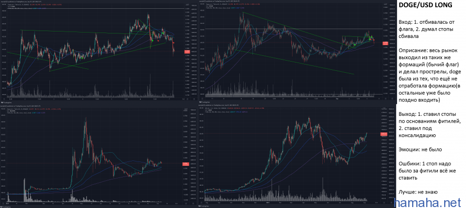 DOGE LONG 03/09