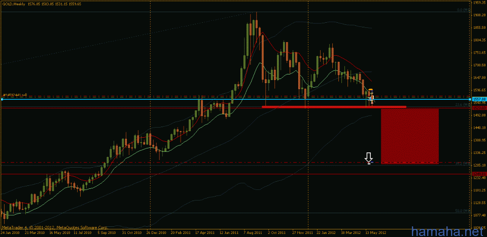 *GOLD H&S)