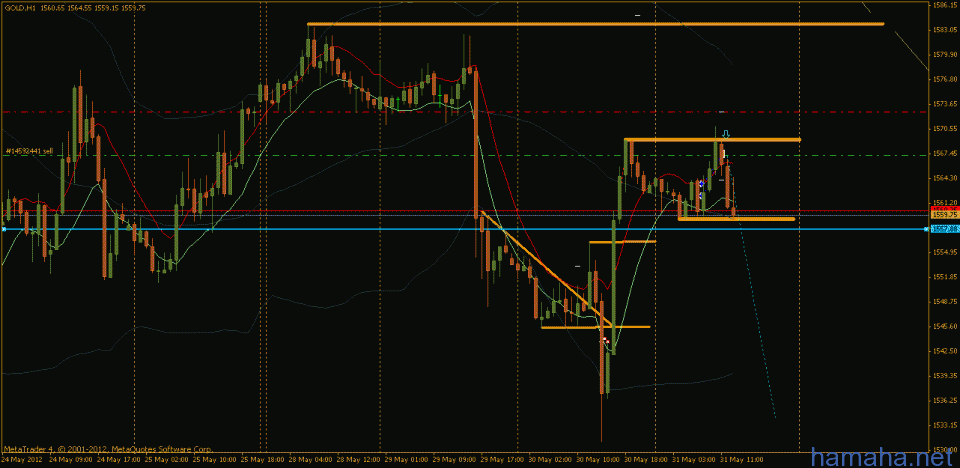 *GOLD H&S)