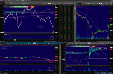 IAS 05.05.2016 вход-выход