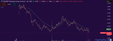 Какое у вас отношение к