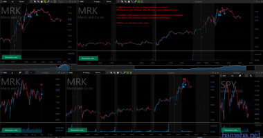 *MRK long