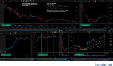 NFLX, CELG 05/10