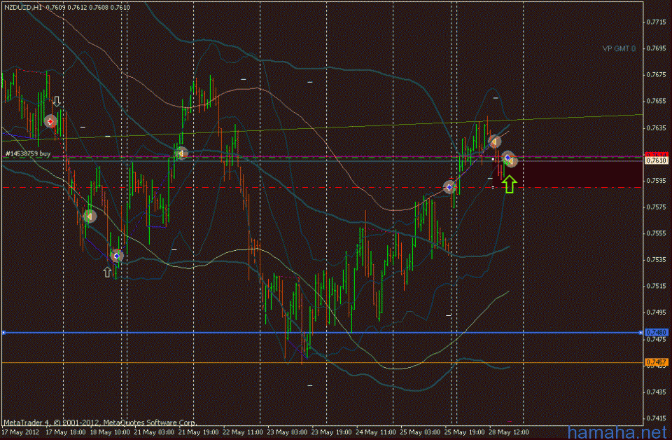NZD$ ^^^