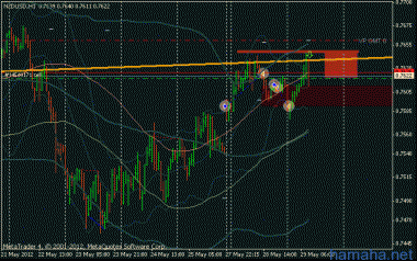 NZD$