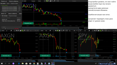 PM AXGN шорт