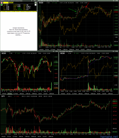 PVH. MGM...